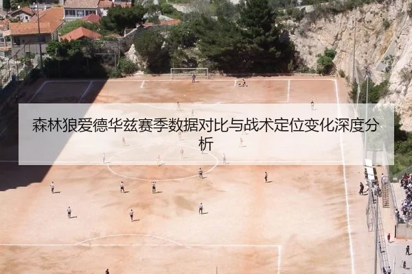 森林狼爱德华兹赛季数据对比与战术定位变化深度分析